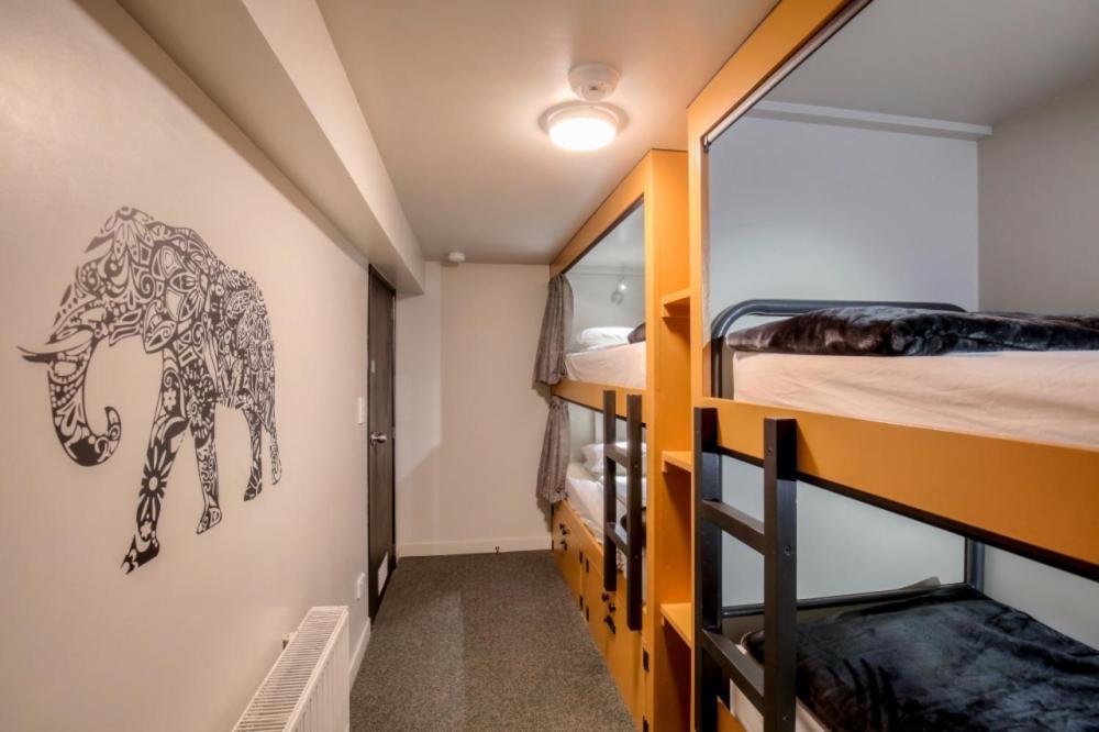 The Black Sheep Backpackers Queenstown Room photo